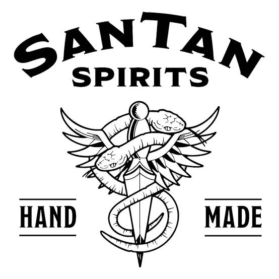 San Tan Dist logo